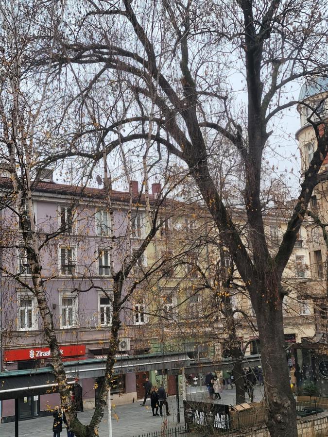 Appartement Remsa Sarajevo